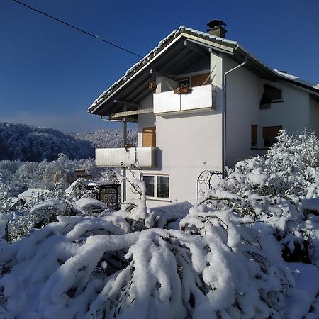 Blick Ins Wutachtal Apartment Wutoschingen Exterior foto