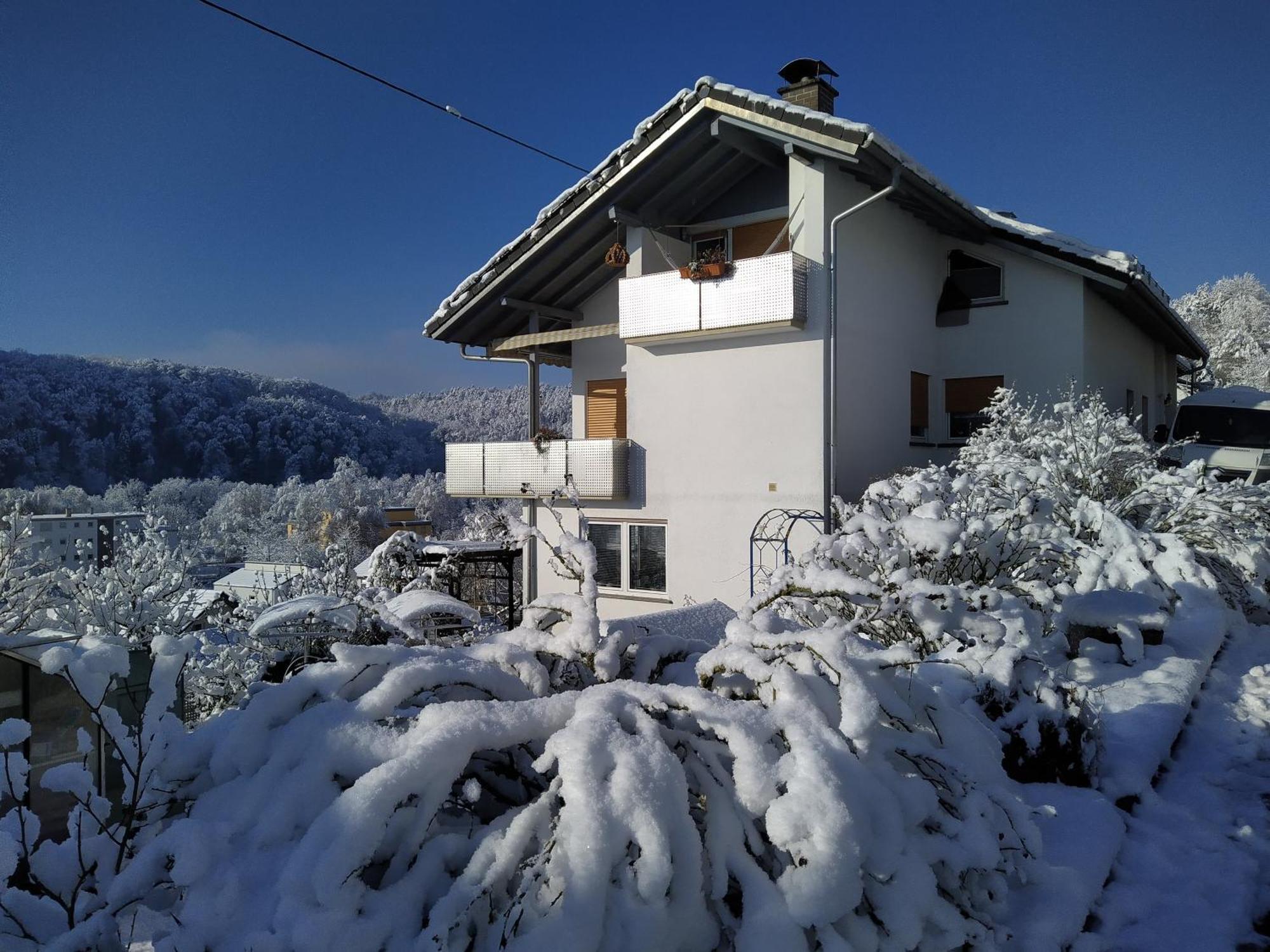 Blick Ins Wutachtal Apartment Wutoschingen Exterior foto